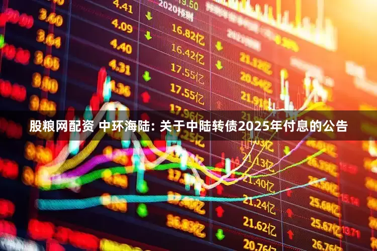 股粮网配资 中环海陆: 关于中陆转债2025年付息的公告